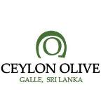 Ceylon Olive Hotel logo