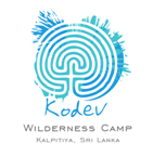Kodev logo