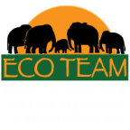 Eco Team Logo logo